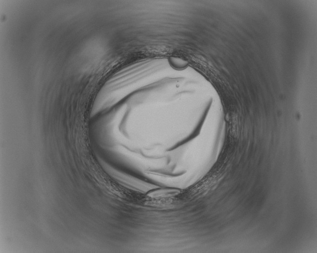 X0000071821201200607211728