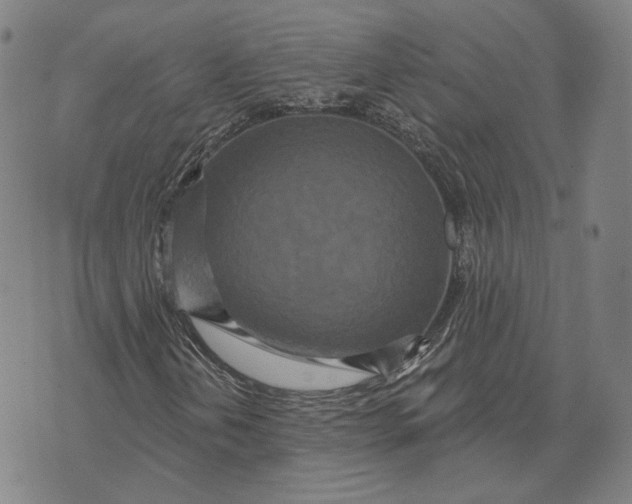 X0000071821202200607211728