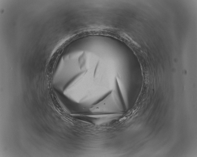 X0000071821208200607211728