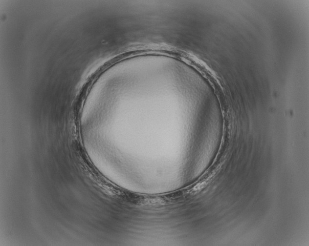 X0000071821215200607211728