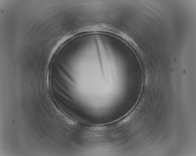 X0000071821224200607211728