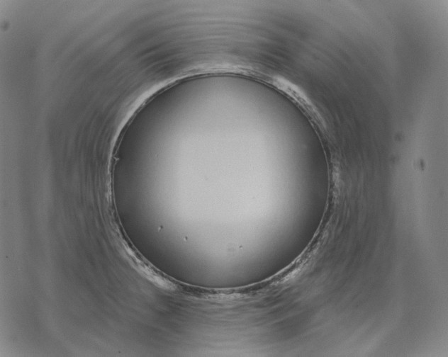 X0000071821236200607211729