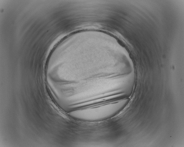 X0000071821240200607211729