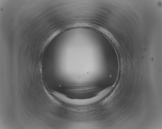 X0000071821241200607211729