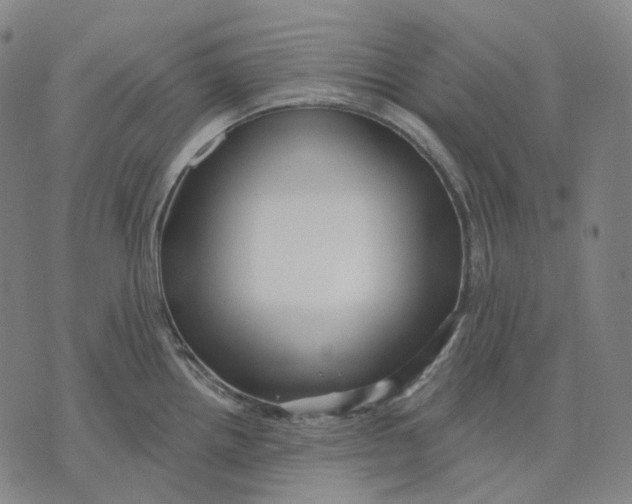 X0000071821242200607211729
