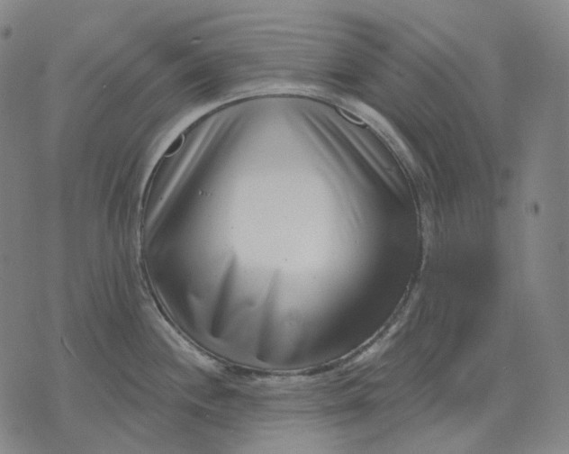 X0000071821244200607211729