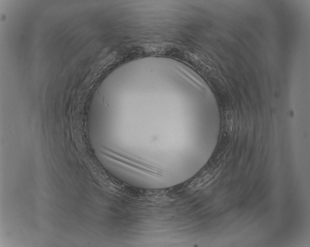 X0000071821249200607211728