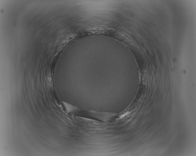 X0000071821298200607211726