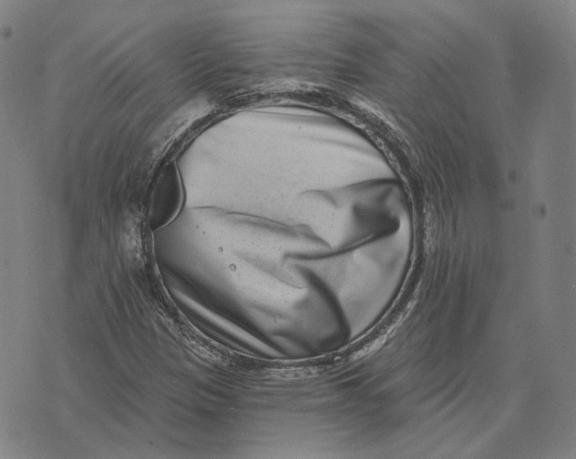 X0000071821305200607211727