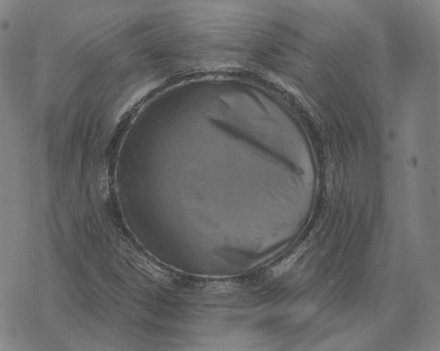 X0000071821306200607211727