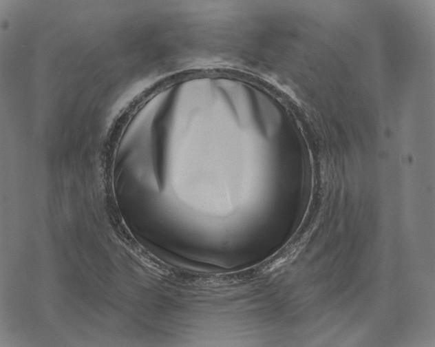 X0000071821311200607211727