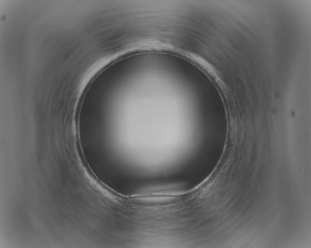X0000071821335200607211727