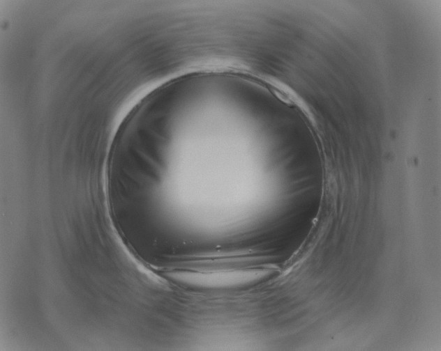 X0000071821343200607211727