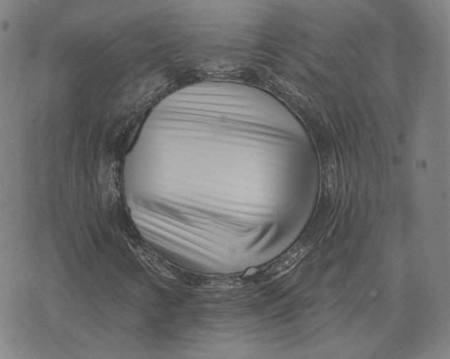 X0000071821346200607211726