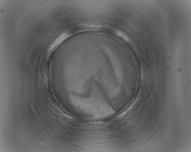 X0000071821354200607211726