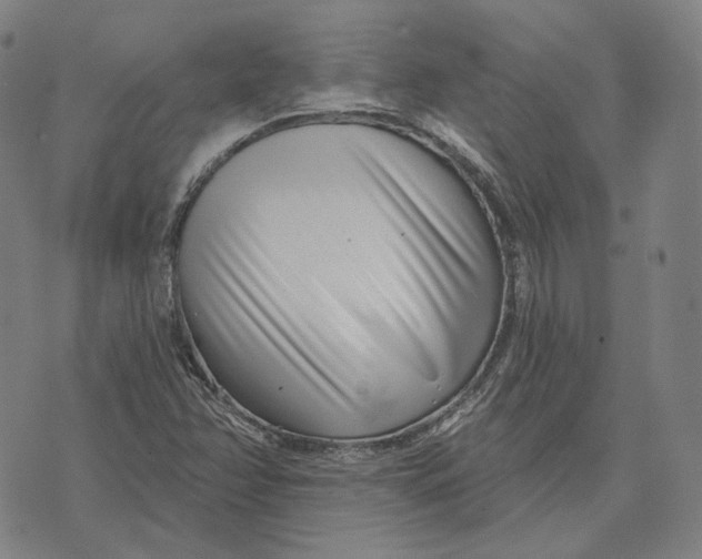 X0000071821358200607211726