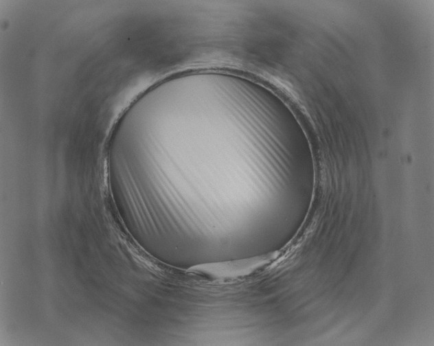 X0000071821366200607211726