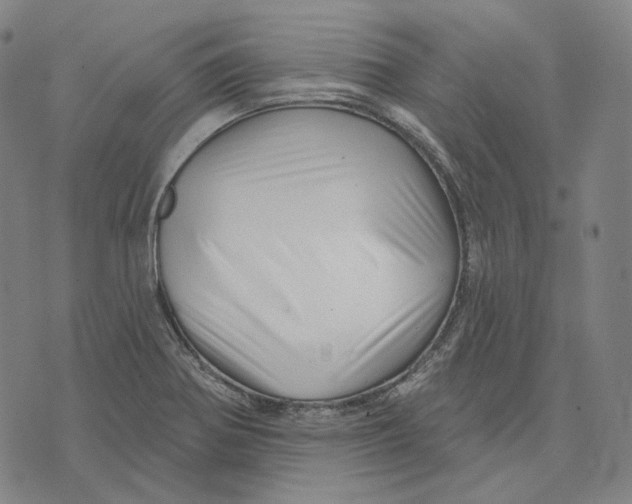 X0000071821370200607211726