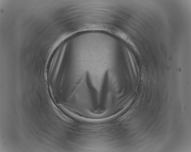 X0000071821372200607211726