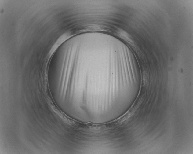 X0000071821378200607211726