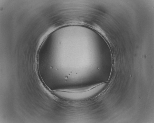 X0000071821379200607211726