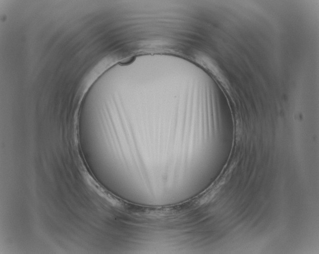 X0000071821386200607211726