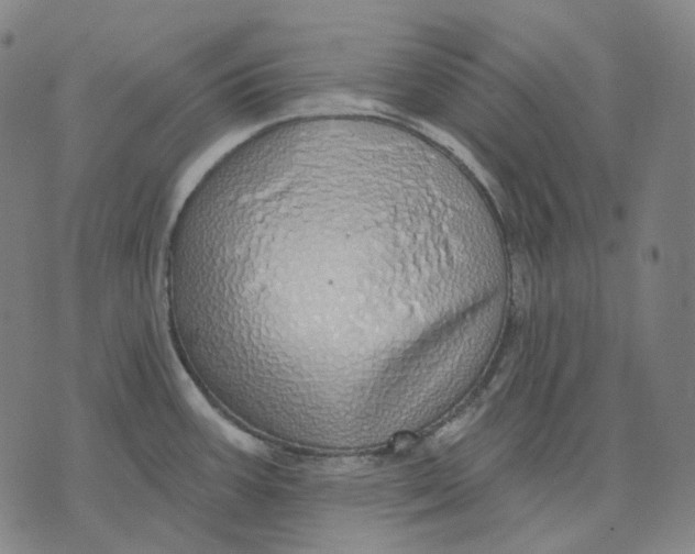 X0000071821387200607211726