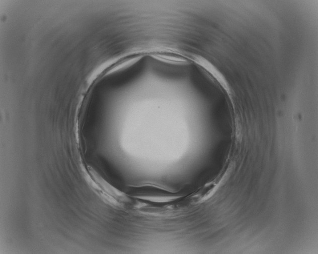 X0000071821388200607211726