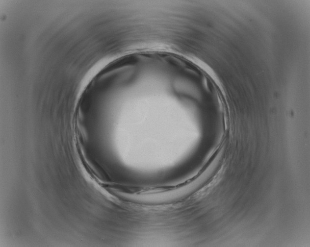 X0000071821389200607211726