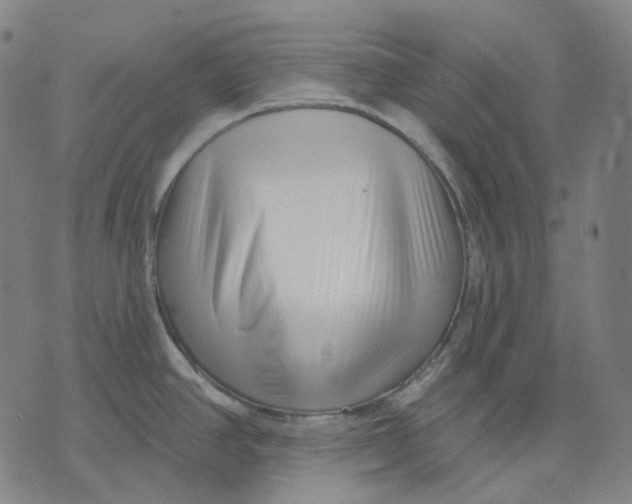 X0000071821390200607211726