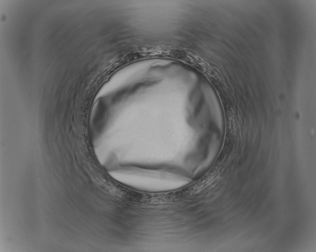 X0000071821393200607211725