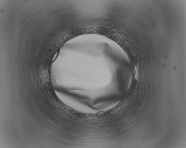 X0000071821395200607211725