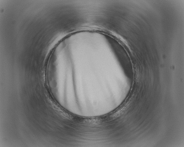 X0000071821415200607211725