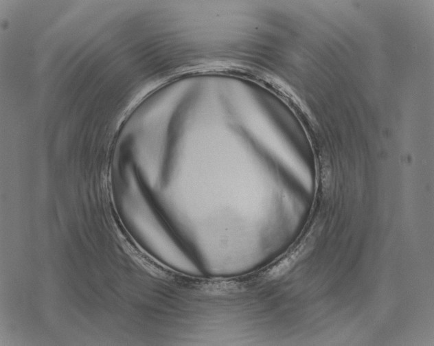 X0000071821417200607211725
