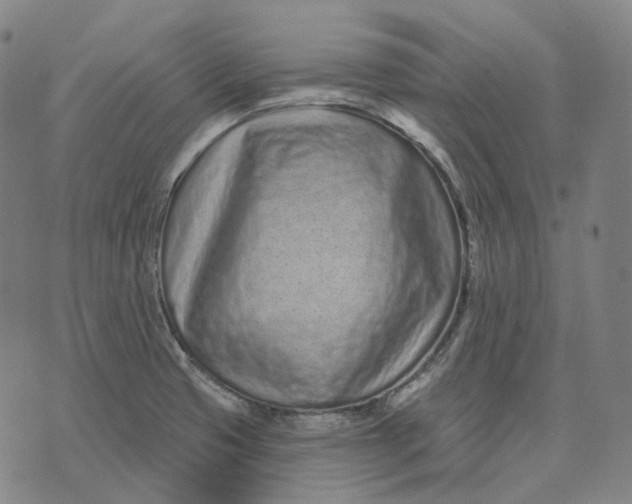 X0000071821425200607211725