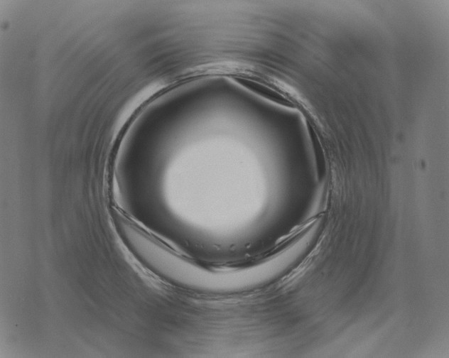 X0000071821426200607211725