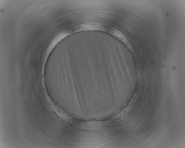 X0000071821427200607211725