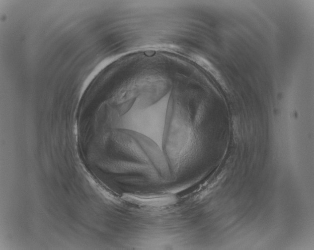 X0000071821428200607211725