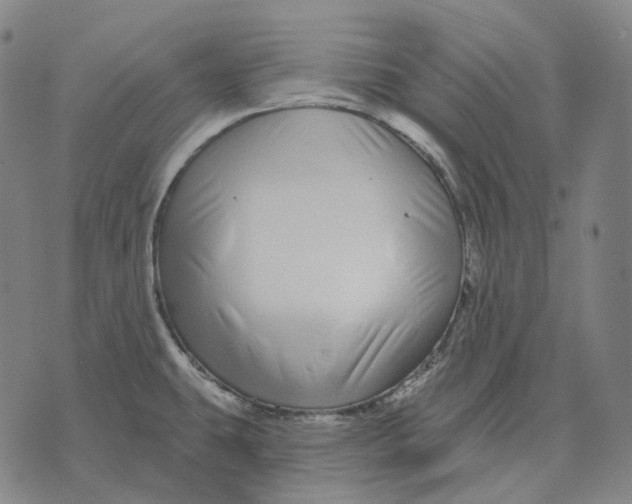 X0000071821431200607211725