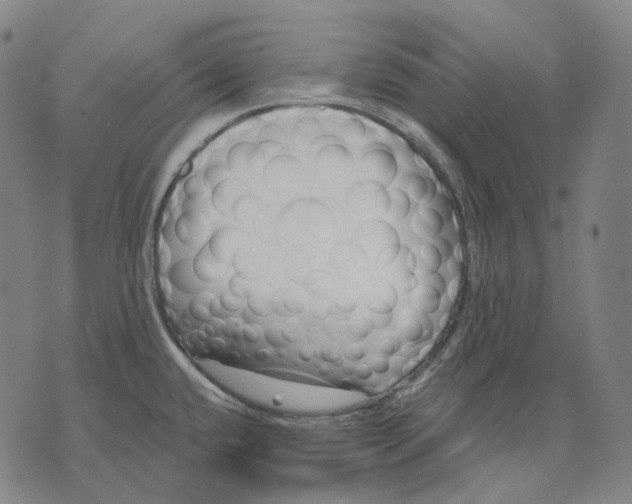 X0000071821432200607211726