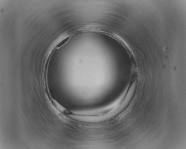 X0000071821434200607211726