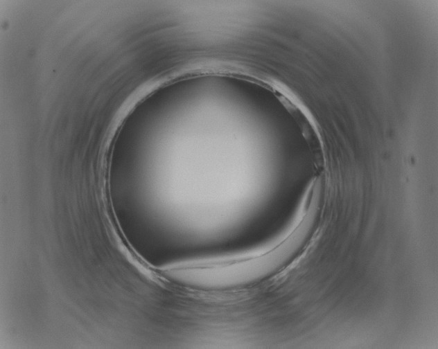 X0000071821437200607211726