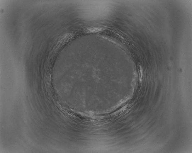 X0000071821441200607211725