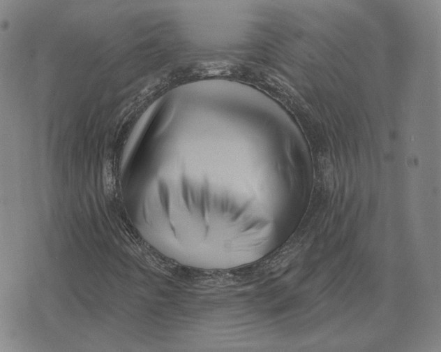 X0000071821442200607211725