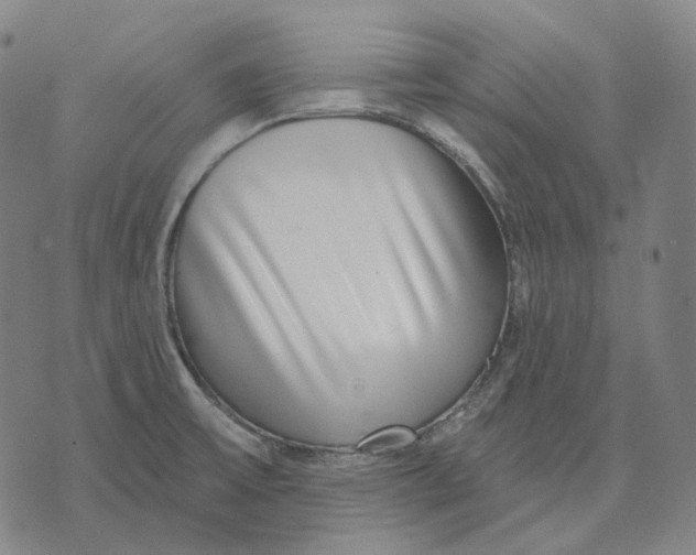 X0000071821475200607211724