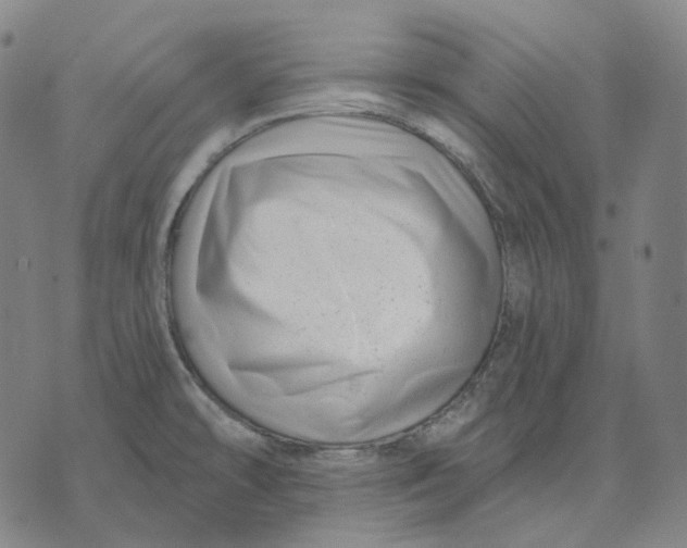 X0000071821478200607211724