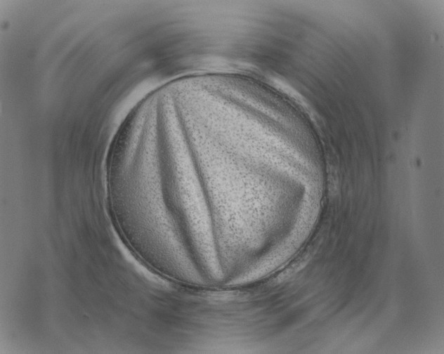X0000071821479200607211724