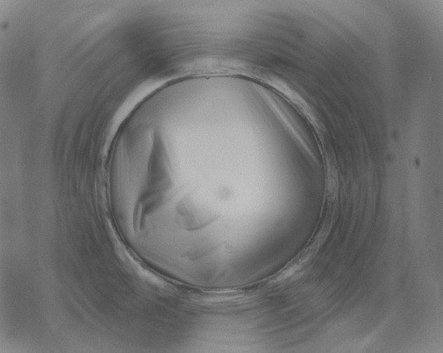 X0000071821486200607211724