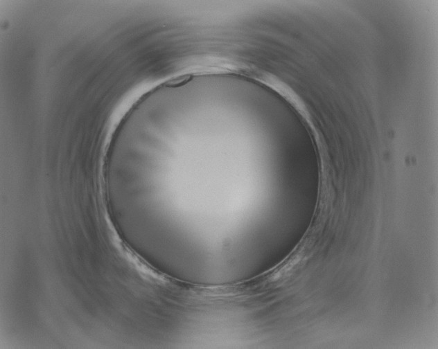 X0000071821488200607211724
