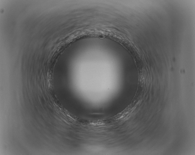 X0000071821490200607211723